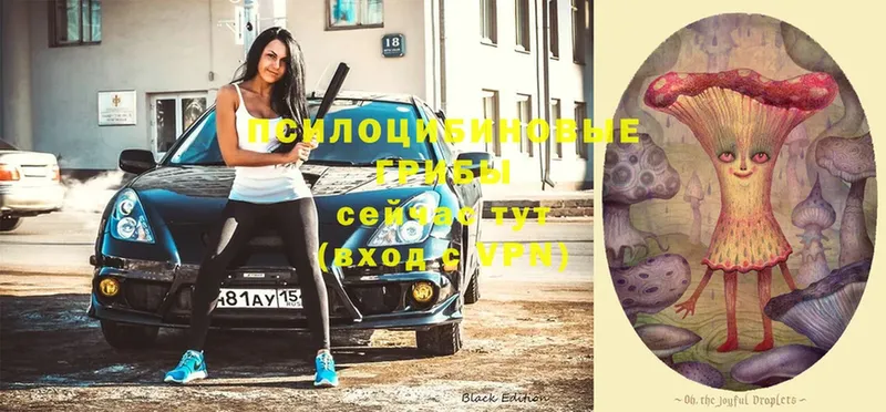 Галлюциногенные грибы ЛСД  Котово 